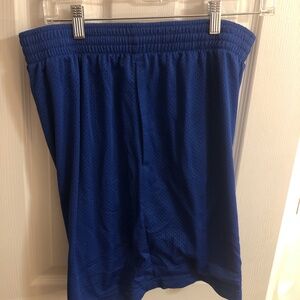 Reebok Blue Mesh Athletic Shorts Large
